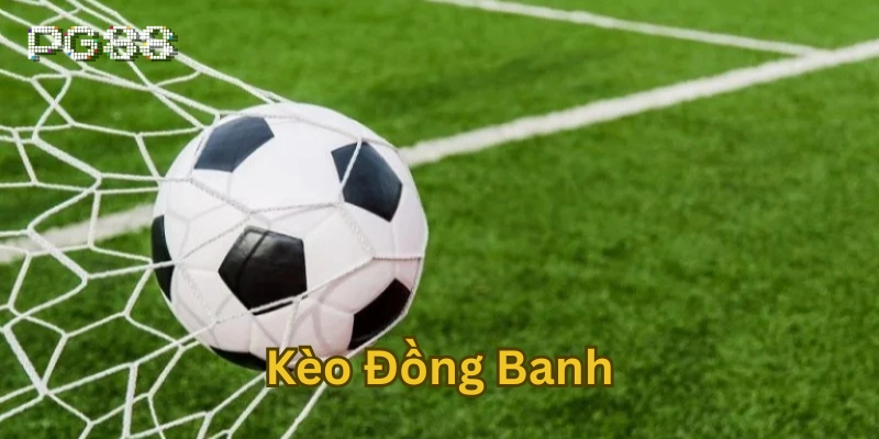 Chiến thuật soi Kèo Đồng Banh hiệu quả 